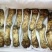 松茸特级8厘米以上