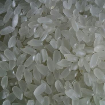 长粒香大米一级新米厂家直量大从优专注专业做大米