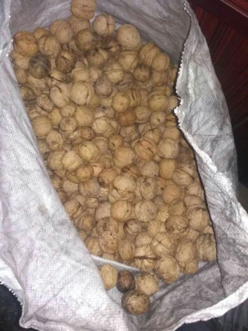 薄皮核桃去皮干