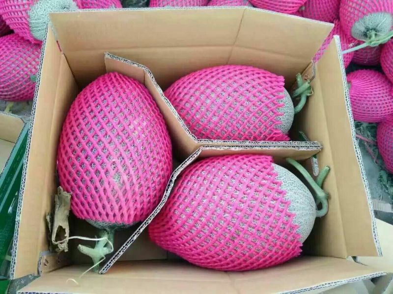 西州蜜瓜5斤以上长圆形