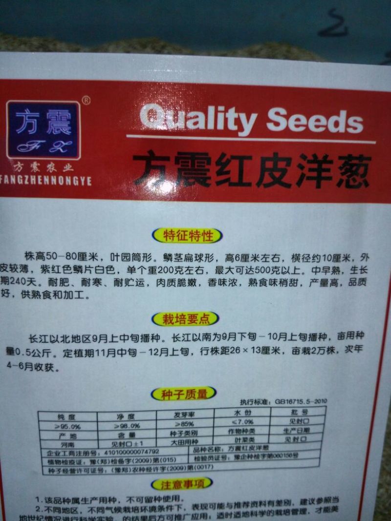 洋葱种子85%以上