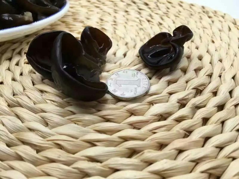 黑木耳特级