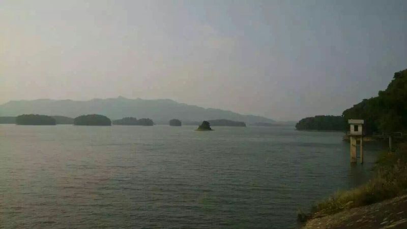 鱼干炸鱼干