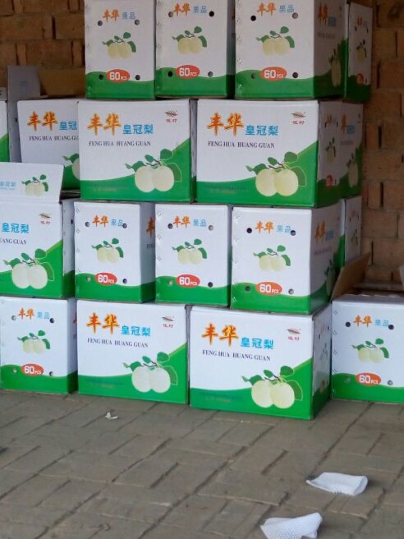 皇冠梨250~300g纸箱