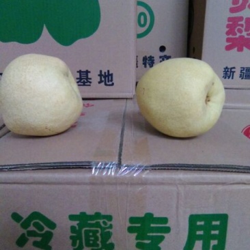 酥梨250~300g膜袋