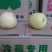 酥梨250~300g膜袋