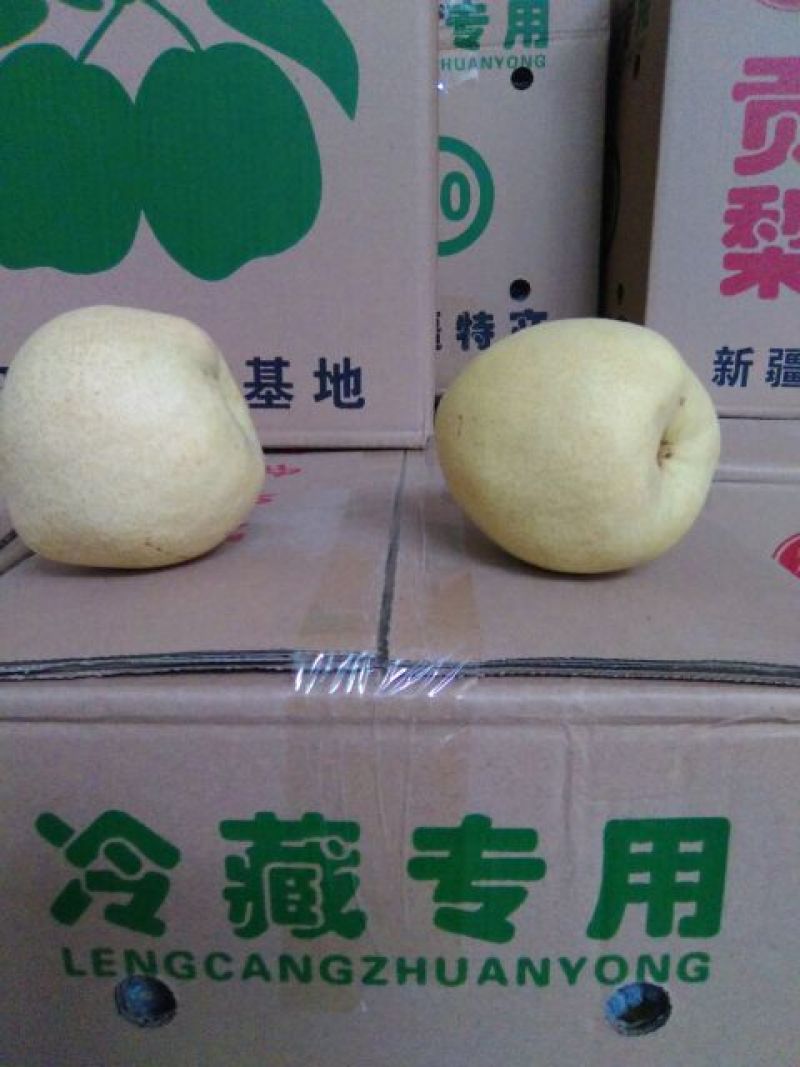 酥梨250~300g膜袋