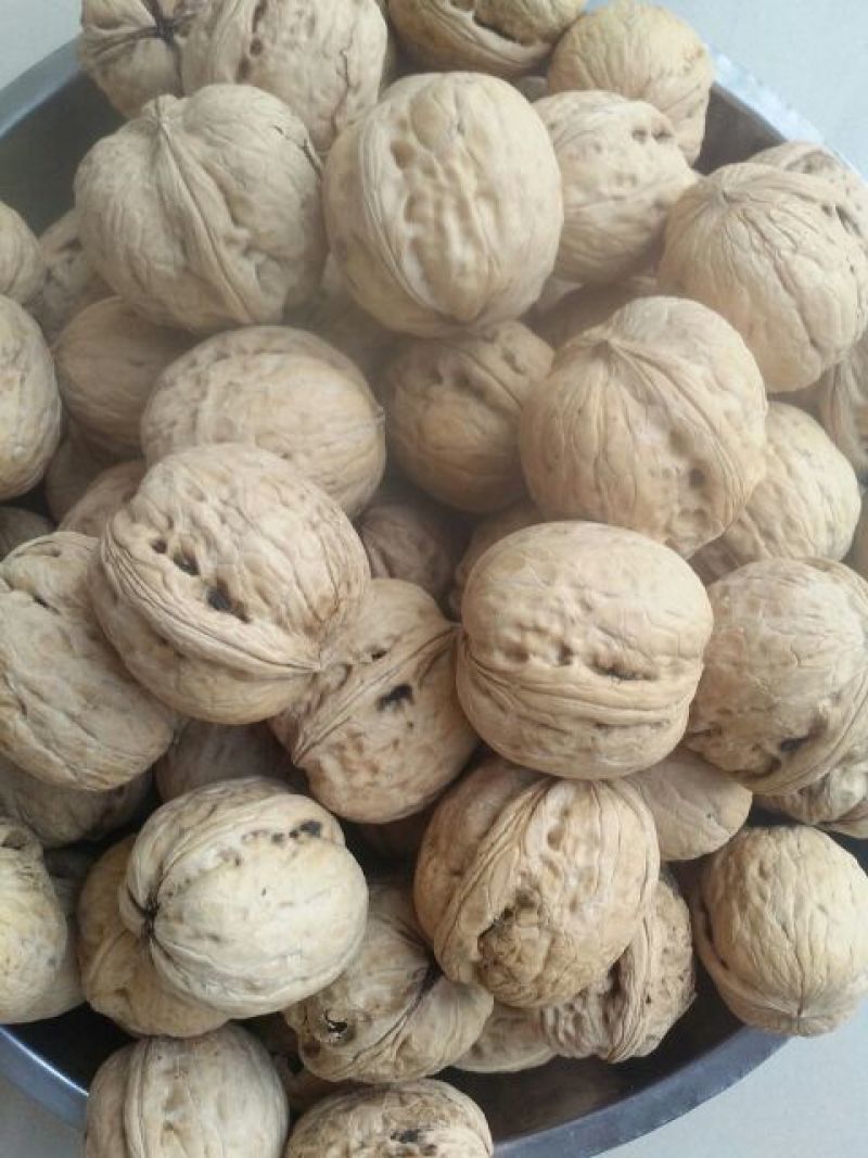 纸皮核桃30mm以上去皮干