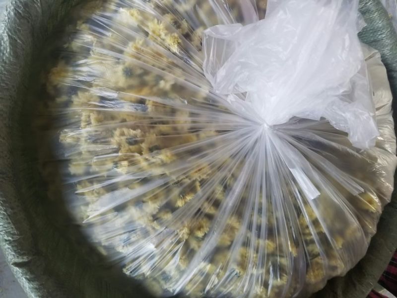 菊花茶