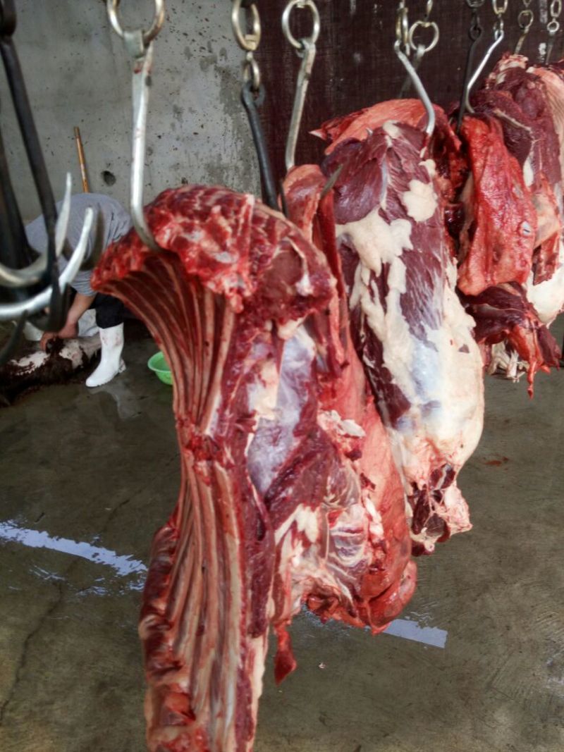 驴肉