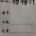 龙海杨梅