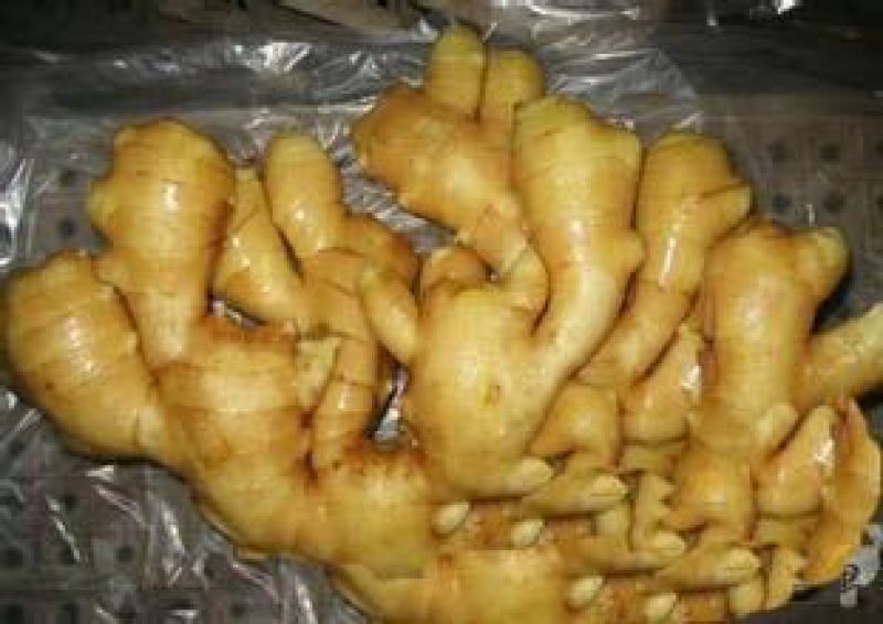 大黄姜产地直销批发价格，货源充足，全国发货