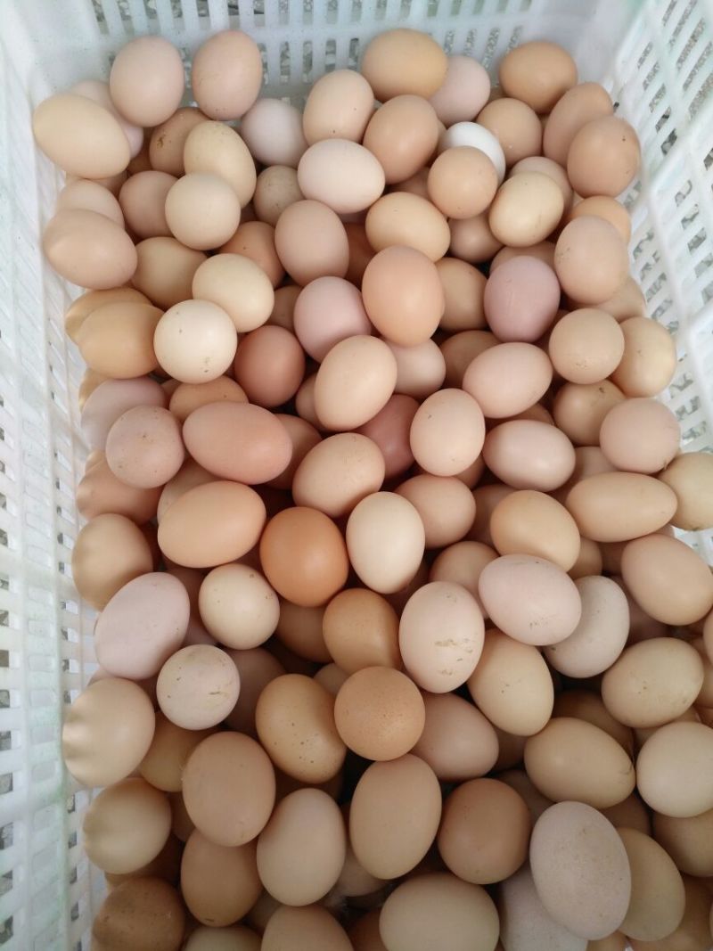 土鸡蛋食用50g以下