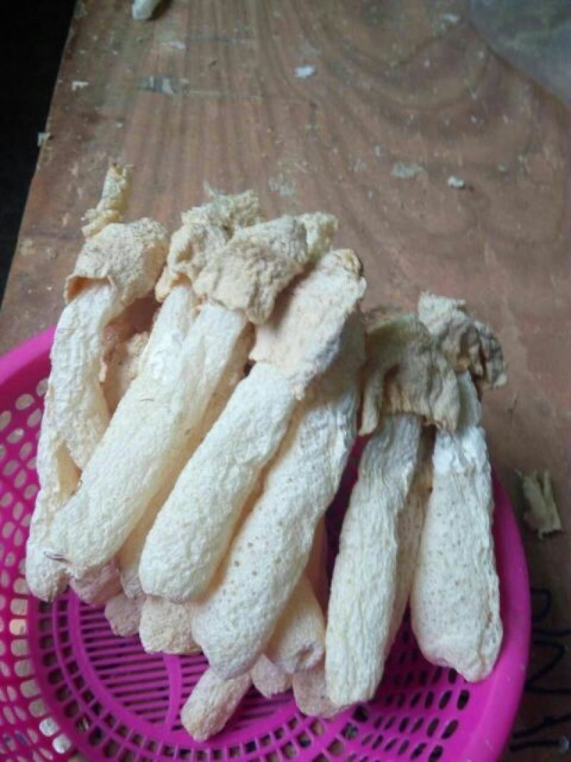 干竹荪特级
