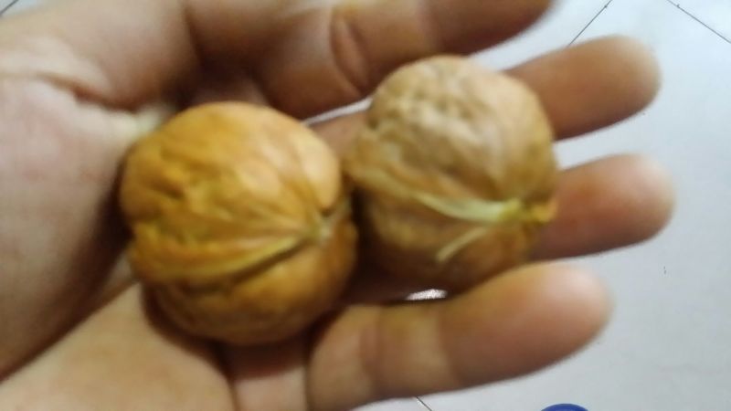 核桃去皮