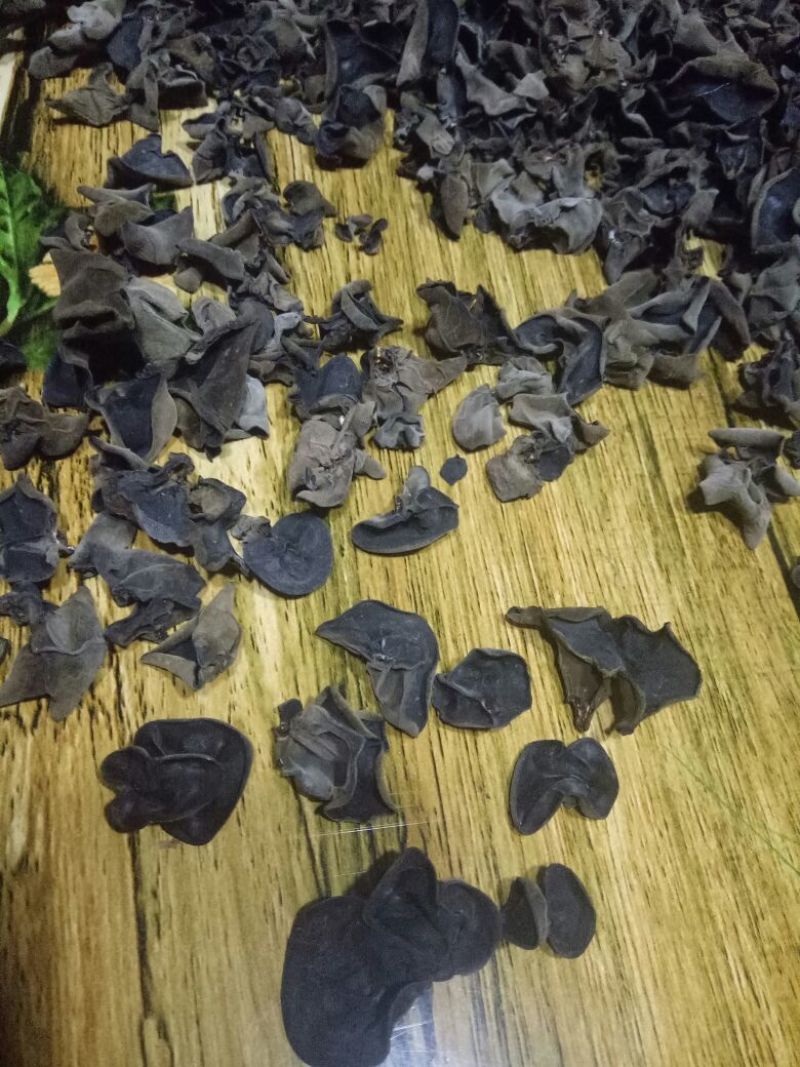 秋耳特级