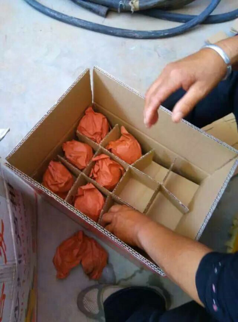 酥梨150~200g纸袋
