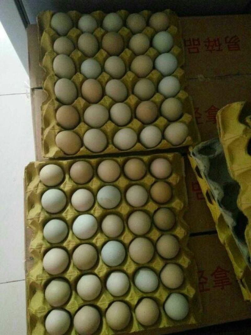 绿壳鸡蛋食用50g以下
