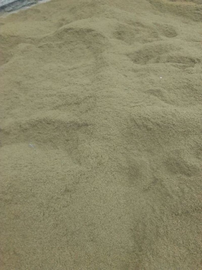 龙胆草种子
