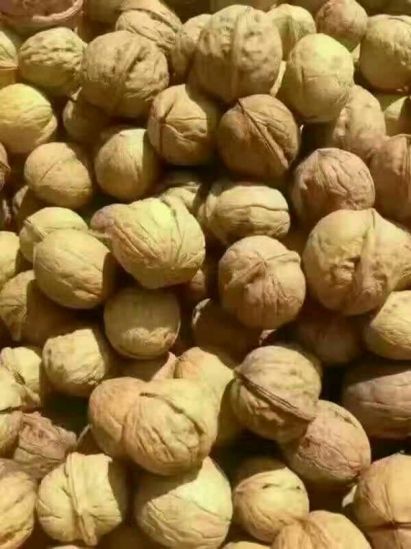 薄皮核桃30mm以上去皮干
