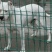 杜高犬公
