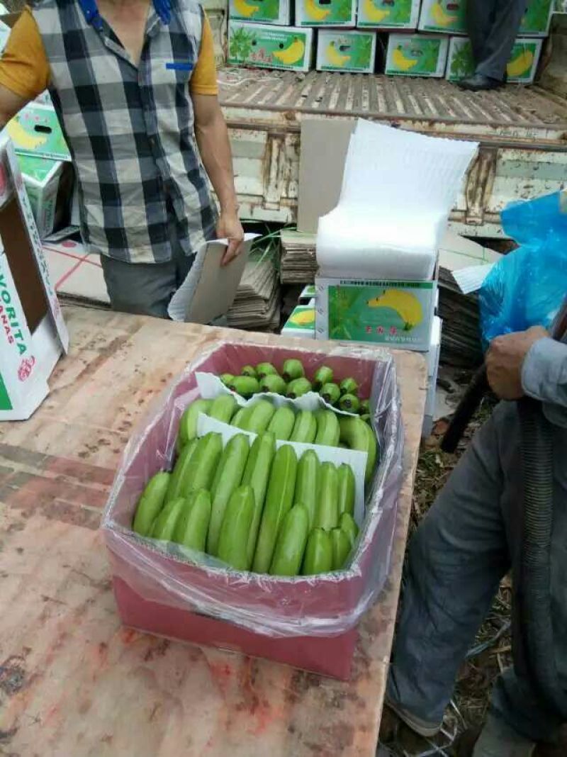 香蕉七成熟