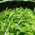 百年大树茶特级
