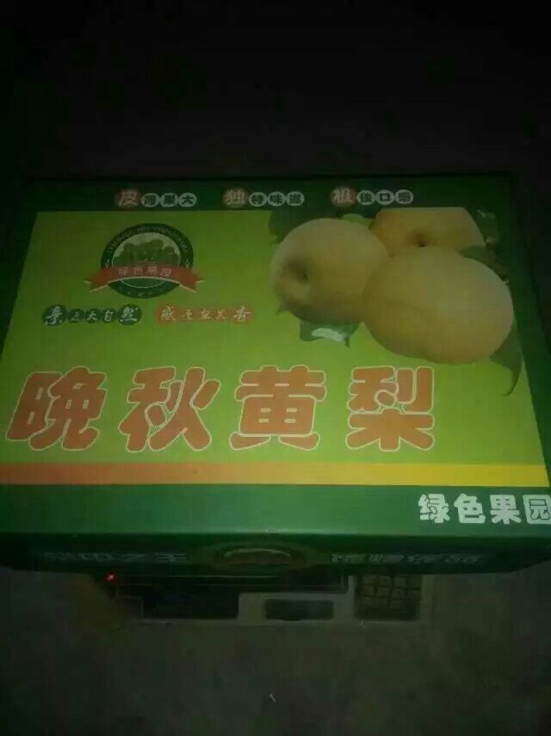 晚秋黄梨600g以上膜袋