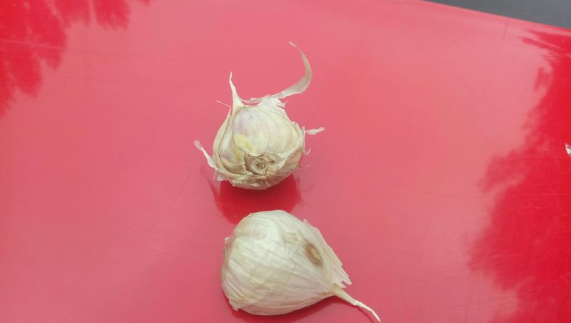 白皮蒜混级统货干蒜精品川蒜红皮，精品川蒜瓣瓣