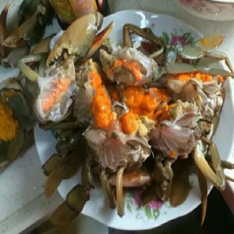 锯缘青蟹食用雄蟹