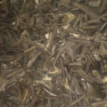 红薯粉皮散装手工粉皮