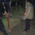 红根蒜苗50~60cm