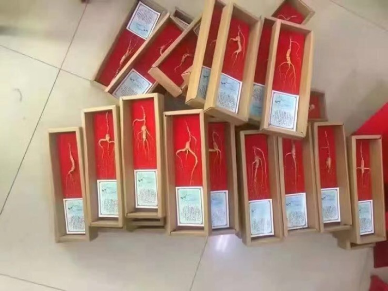 林下参