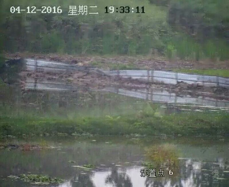 罗氏沼虾食用6~8钱活虾
