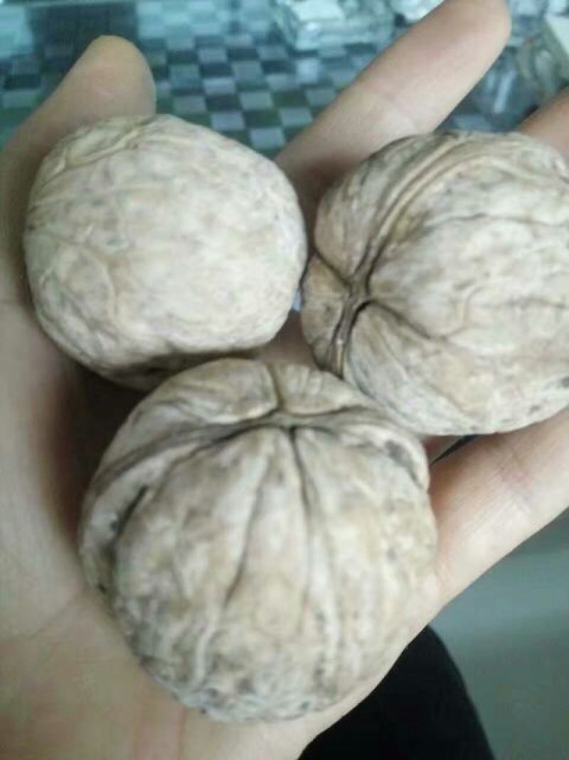 纸皮核桃去皮干