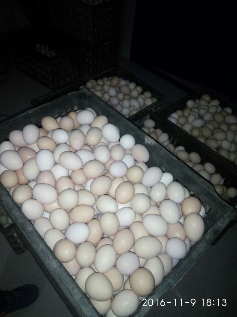 土鸡蛋食用50g以下