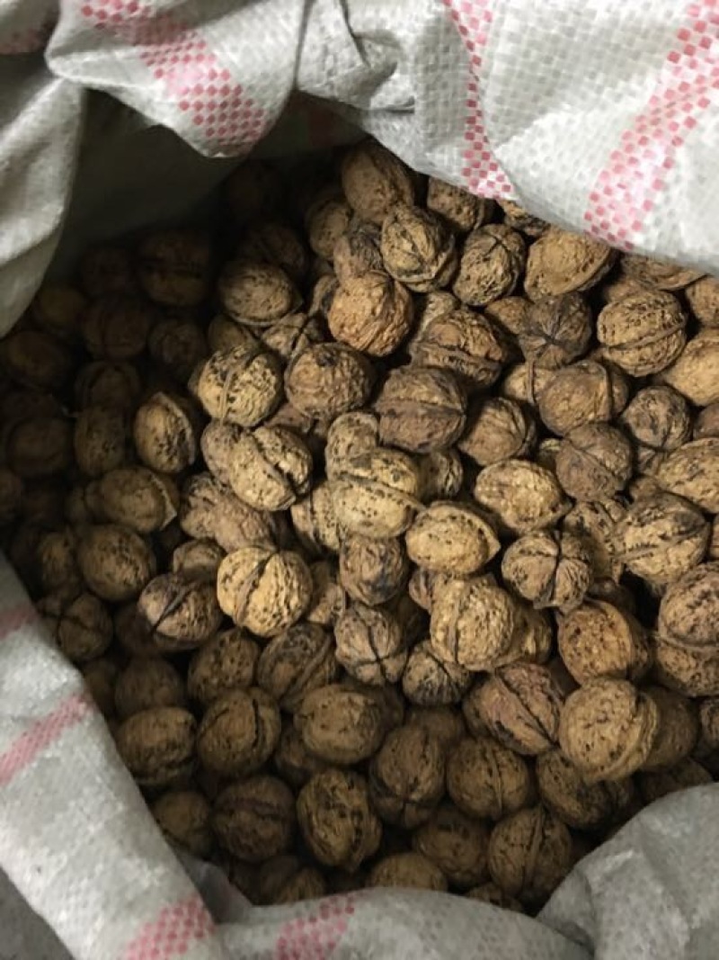 纸皮核桃