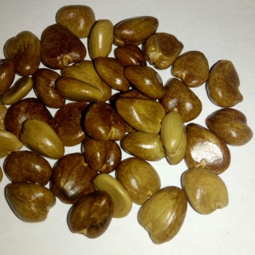 布福娜300~600g