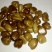 布福娜300~600g