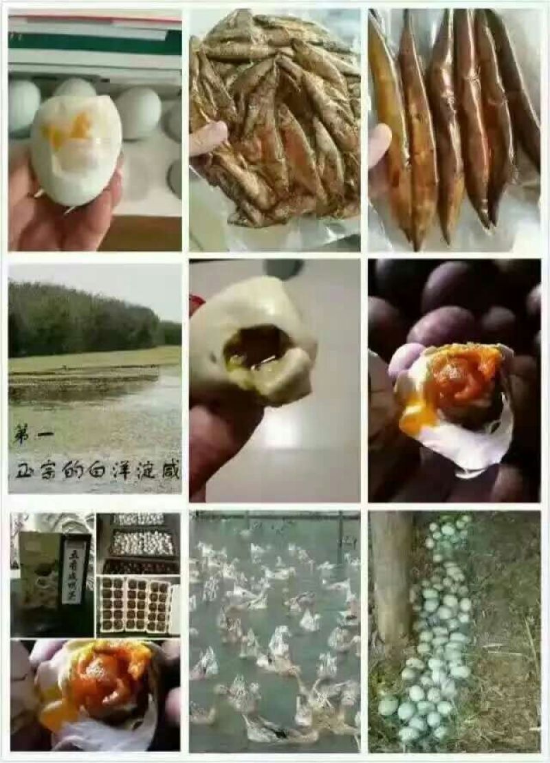 鸭蛋食用每盒20枚