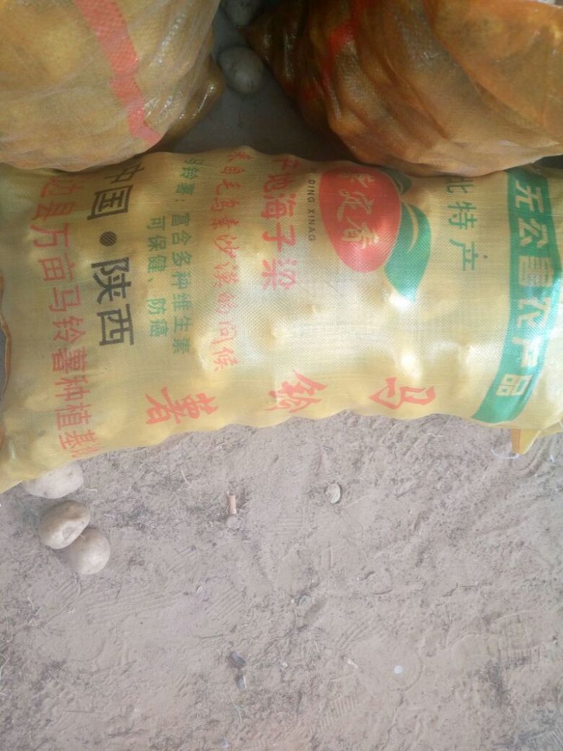荷兰十五土豆3两以上