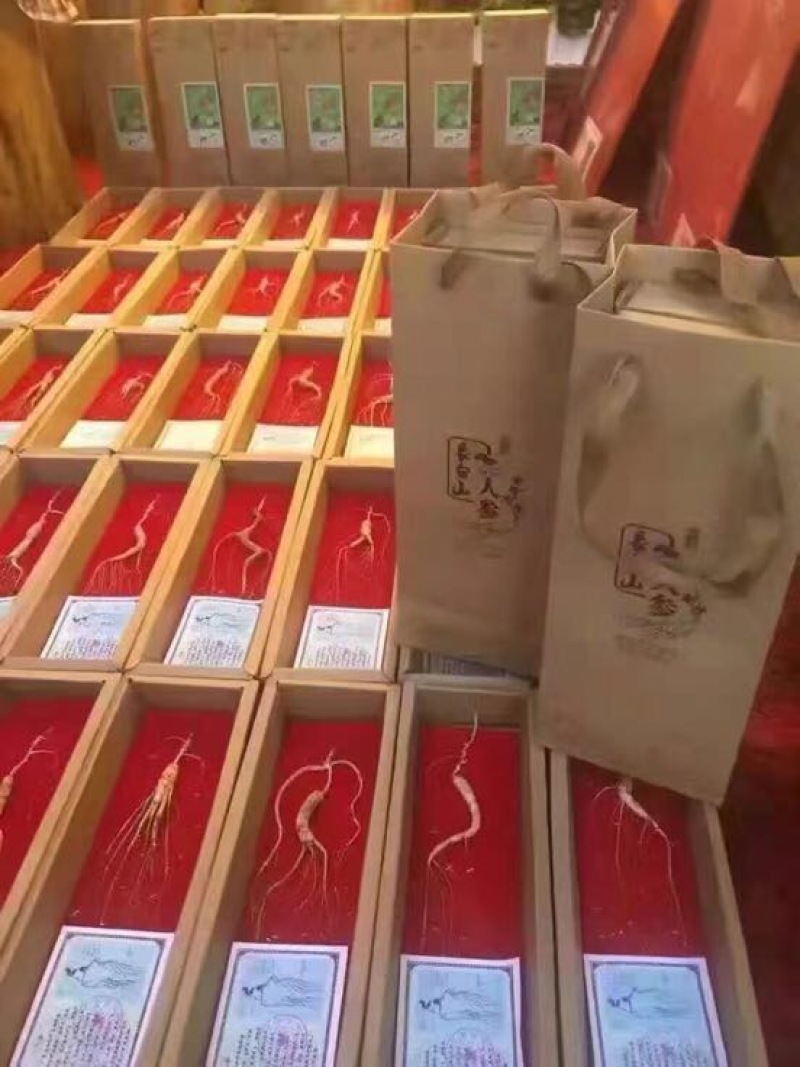 林下参