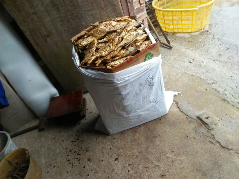 鱼干烤鱼干