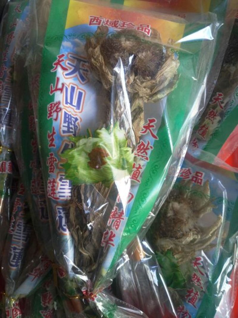 天山雪莲