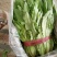 油麦菜