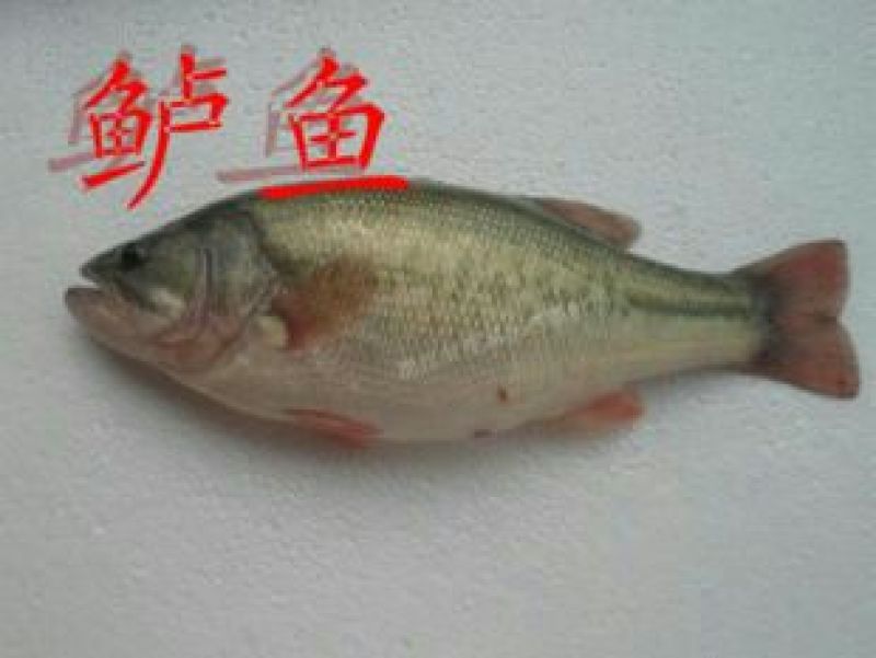 水产