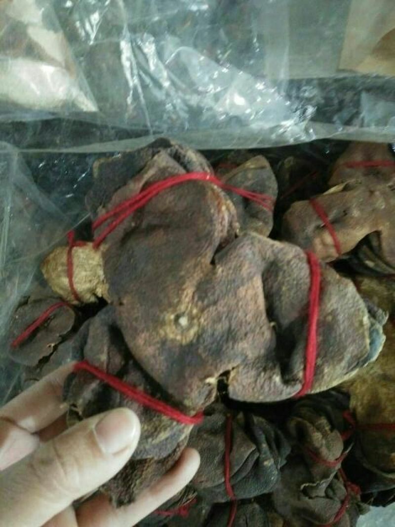 陈皮杂个