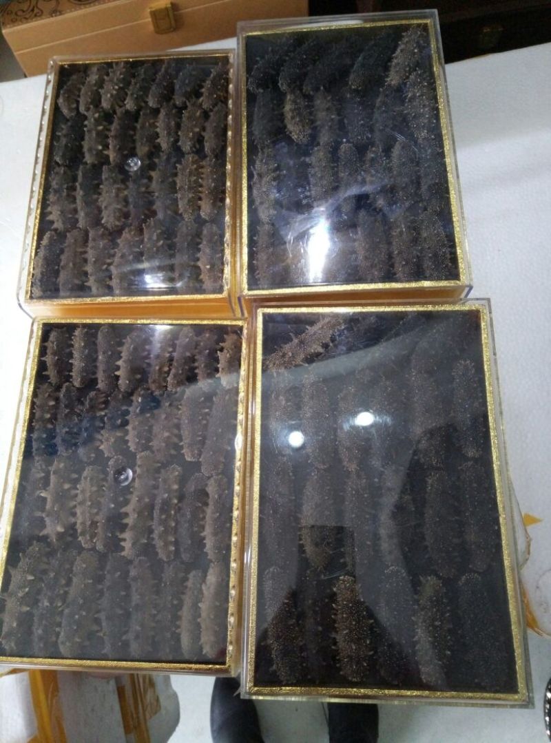 海参食用即食