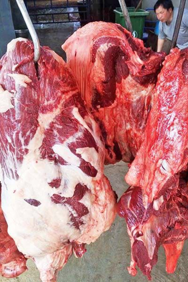 驴肉