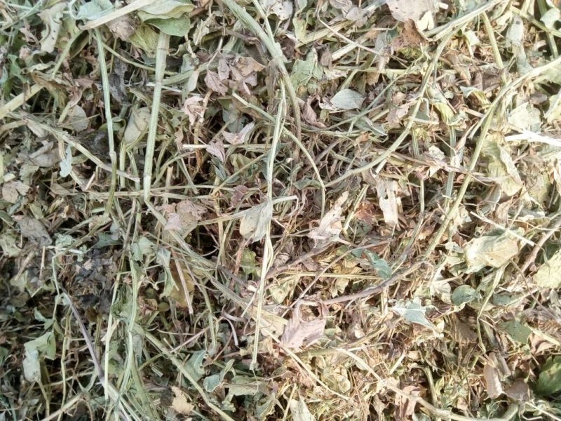 花生糠粗糠